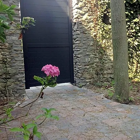 Bulles Et Natures 3*