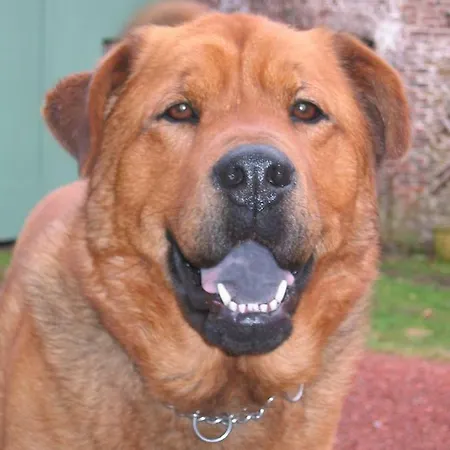 Bulles Et Natures 3* Hergnies