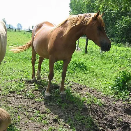 Bulles Et Natures Bed & Breakfast 3*