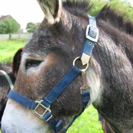 Bulles Et Natures Bed & Breakfast 3*